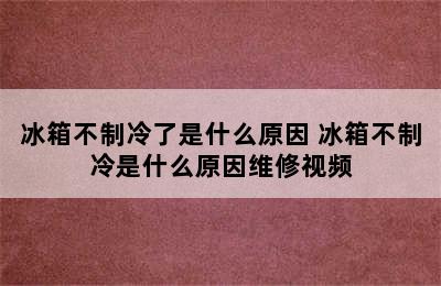 冰箱不制冷了是什么原因 冰箱不制冷是什么原因维修视频